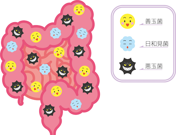 もりもと歯科クリニック｜ブログ｜「お口の健康状態」が「全身の免疫」を変える？｜腸内細菌のイメージイラスト