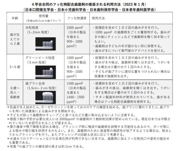日本口腔衛生学会|4学会合同のフッ化物配合歯磨剤の推奨される利用方法|子どもが虫歯になりやすい時期とは?「3つのピーク」と予防法を解説|金属アレルギー・掌蹠膿疱症専門歯科医療サイト|愛媛県松山市もりもと歯科クリニック